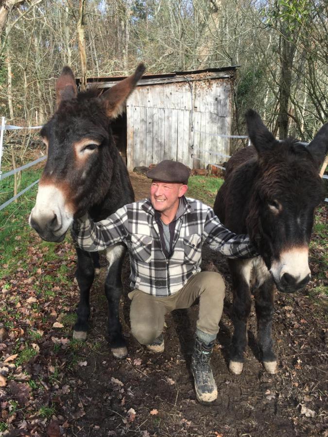 The Llama Farm France Saint-Cyr-Les-Champagnes Ngoại thất bức ảnh