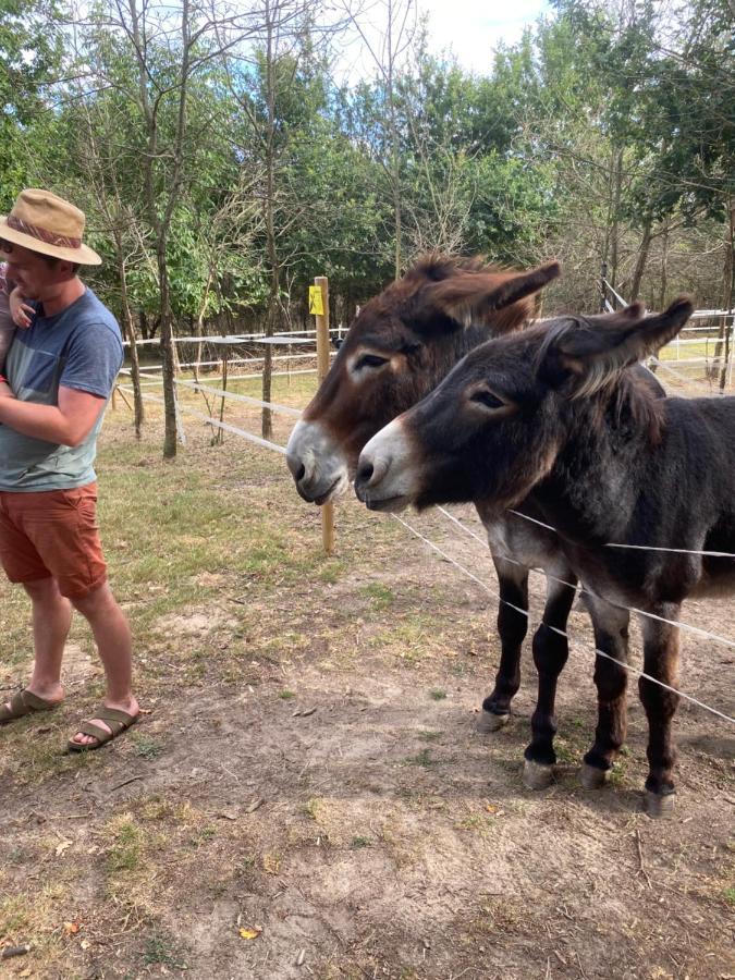 The Llama Farm France Saint-Cyr-Les-Champagnes Ngoại thất bức ảnh