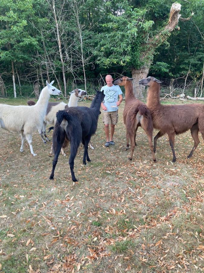 The Llama Farm France Saint-Cyr-Les-Champagnes Ngoại thất bức ảnh