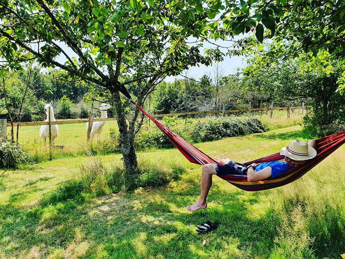 The Llama Farm France Saint-Cyr-Les-Champagnes Ngoại thất bức ảnh