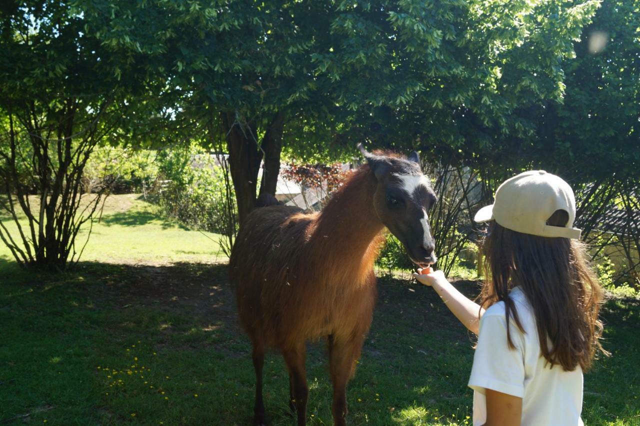 The Llama Farm France Saint-Cyr-Les-Champagnes Ngoại thất bức ảnh