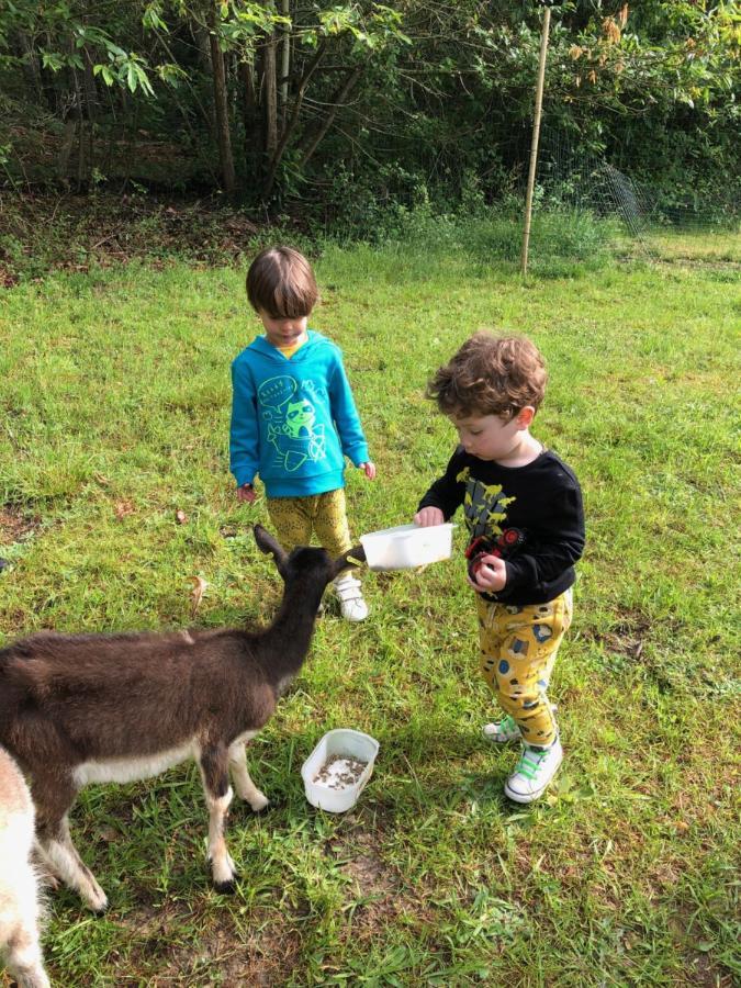 The Llama Farm France Saint-Cyr-Les-Champagnes Ngoại thất bức ảnh